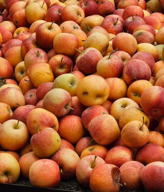 Coxão Mole (kg)