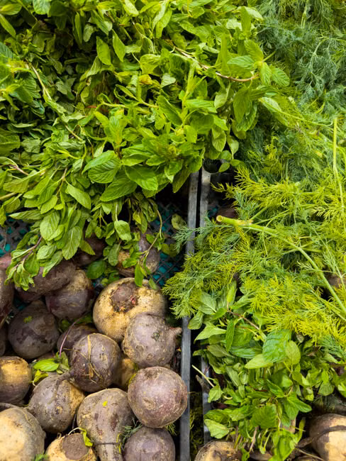Otavio Stela Alimentos
